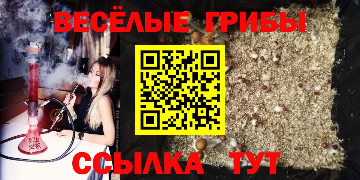 Галлюциногенные грибы MAGIC MUSHROOMS  купить  цена  Кудымкар  Галлюциногенные грибы мицелий  Вход с VPN 