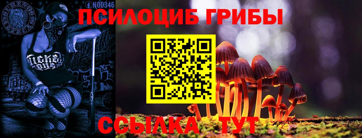 Псилоцибиновые грибы Magic Shrooms Кудымкар